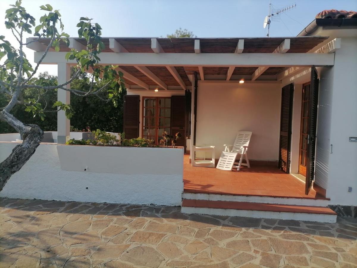 Le Palme Appartement Capoliveri  Buitenkant foto