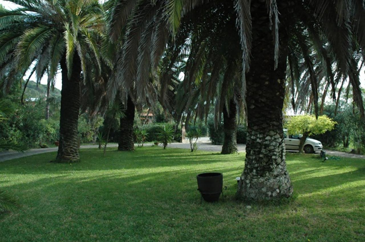 Le Palme Appartement Capoliveri  Buitenkant foto