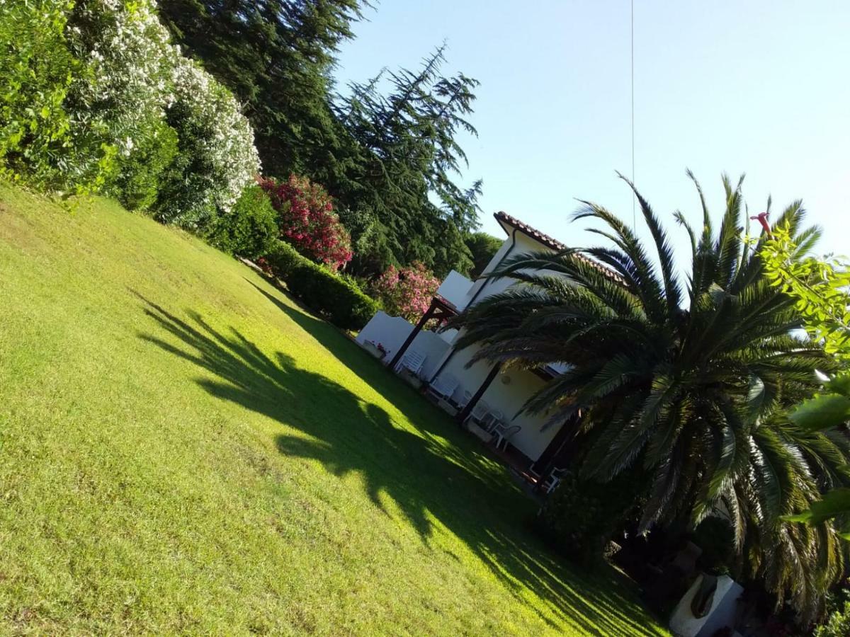 Le Palme Appartement Capoliveri  Buitenkant foto
