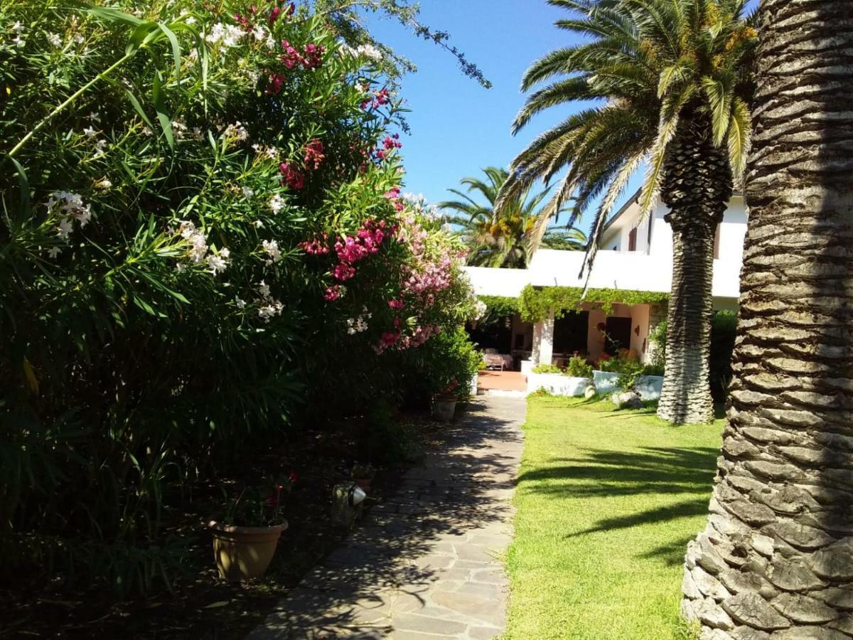 Le Palme Appartement Capoliveri  Buitenkant foto