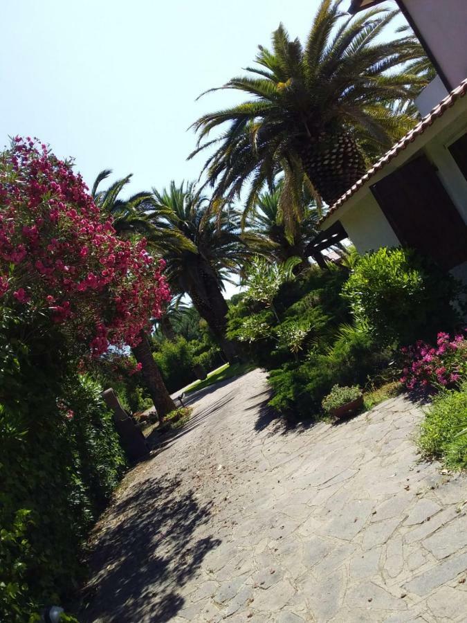 Le Palme Appartement Capoliveri  Buitenkant foto