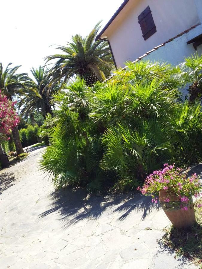 Le Palme Appartement Capoliveri  Buitenkant foto