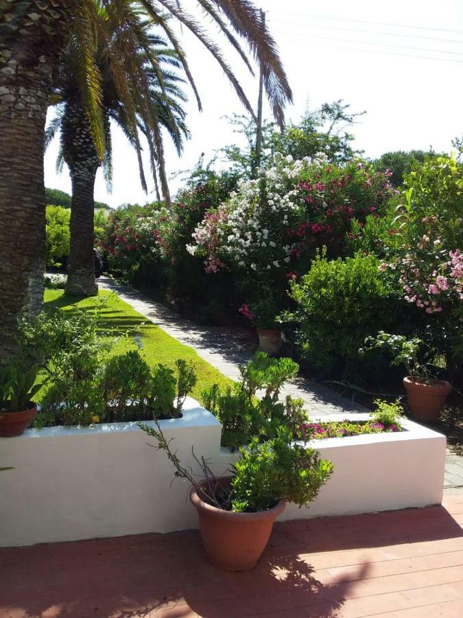 Le Palme Appartement Capoliveri  Buitenkant foto